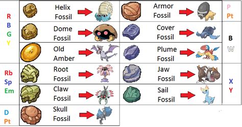 root fossil vs claw ruby.